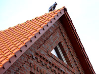 Zierbänder